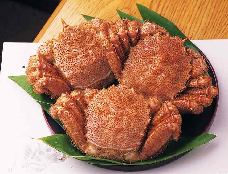 Calling all crab lovers! Have you had the pleasure of eating Japan's kegani?