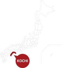 kochi map