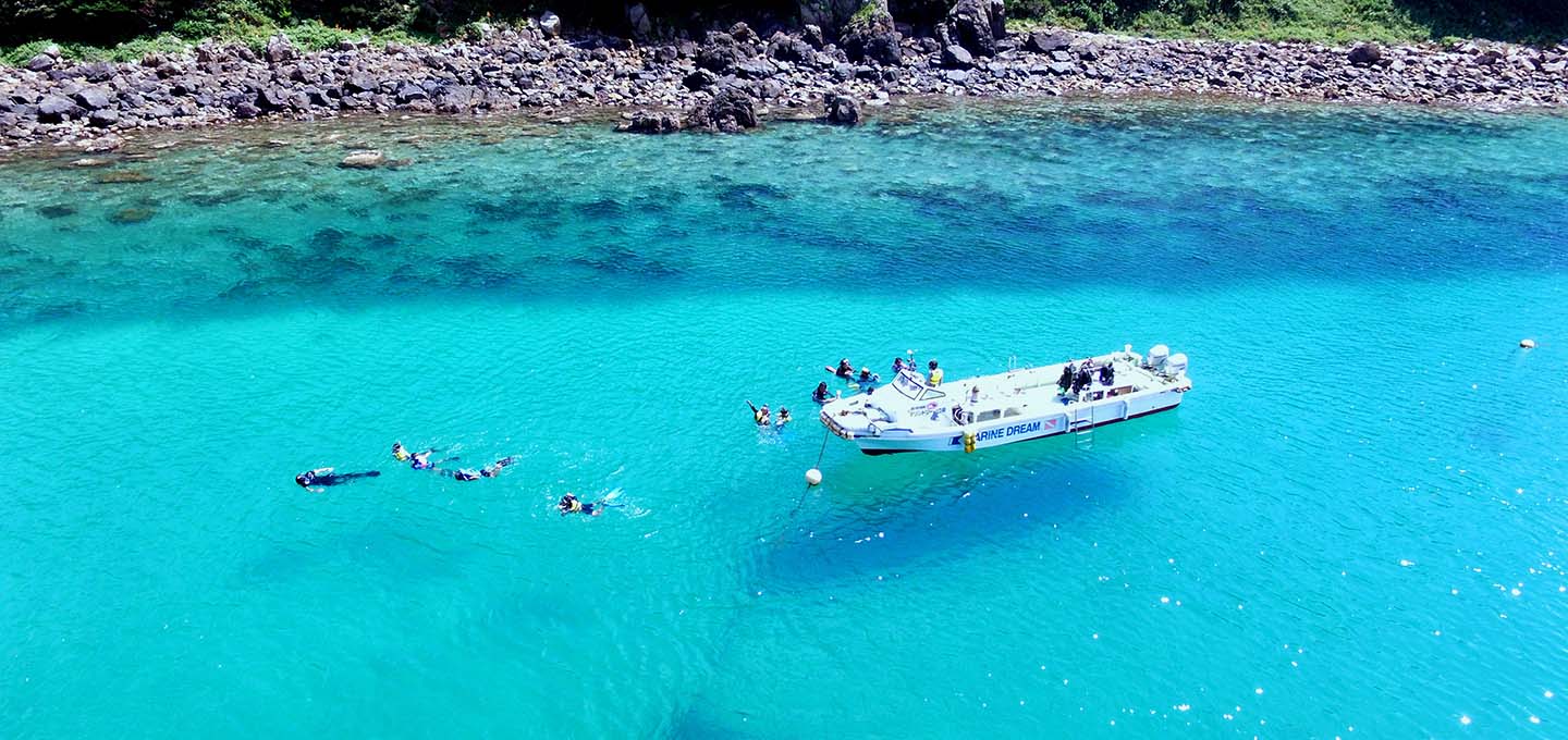 Snorkeling image