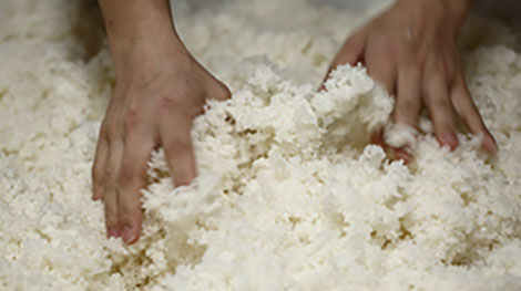 toyama gastronomy