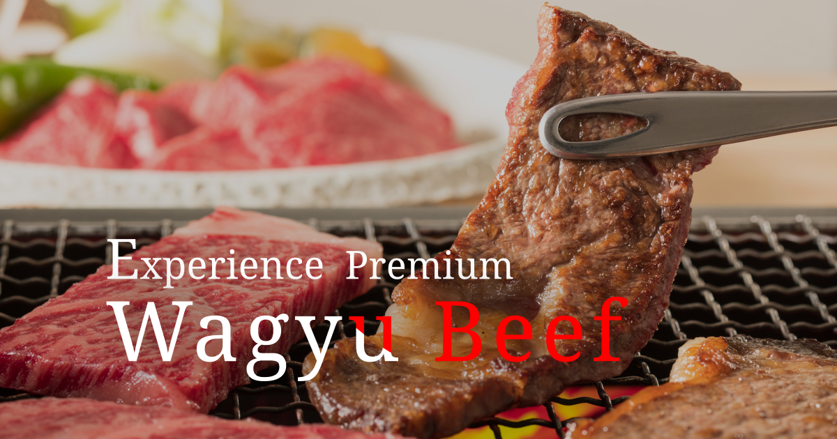 wagyu