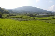 Tenri