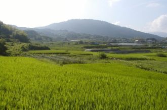 Tenri