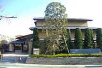 The Omiya Bonsai Art Museum