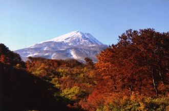 Akita