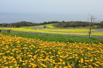 Awaji Island