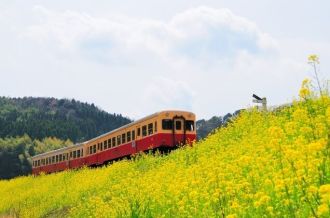 Chiba
