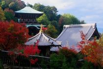 Daishoin Temple