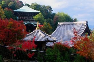 Daishoin Temple