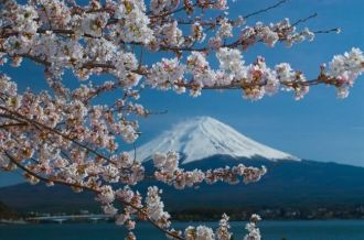 Mt. Fuji (Yamanashi)
