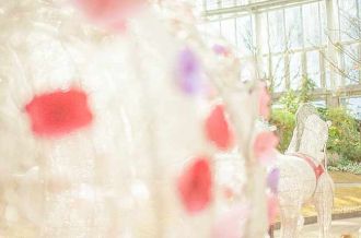 Flower Festival Commemorative Park