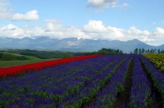 Hokkaido