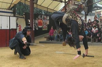 Ninja Museum of Igaryu