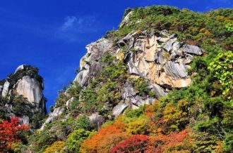 Kofu