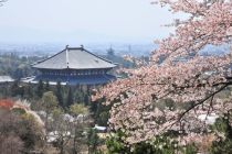 Nara City