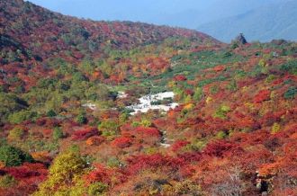 Nasu Kogen Heights