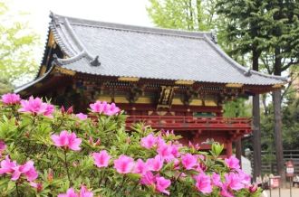 Nezu Jinja Shrine