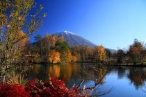 Niseko
