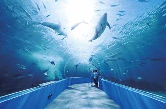 Notojima Aquarium