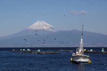 Numazu