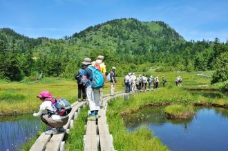 Shiga Kogen Highland