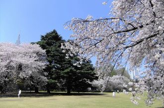 Shinjuku Gyoen National Garden