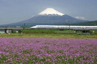 Shizuoka