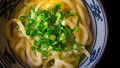 Udon / Soba / Ramen