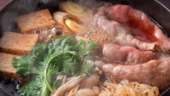 Shabu-shabu / Sukiyaki