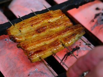 Top 5 Restaurants to Enjoy the Nutritious Eel Loved by Japanese in Tokyo