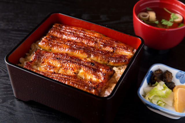 japanese food unagi