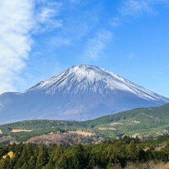 5 Restaurants Near Mt. Fuji in the Yamanashi Fuji Five Lakes Area Worth Visiting During Your Mt. Fuji Trip