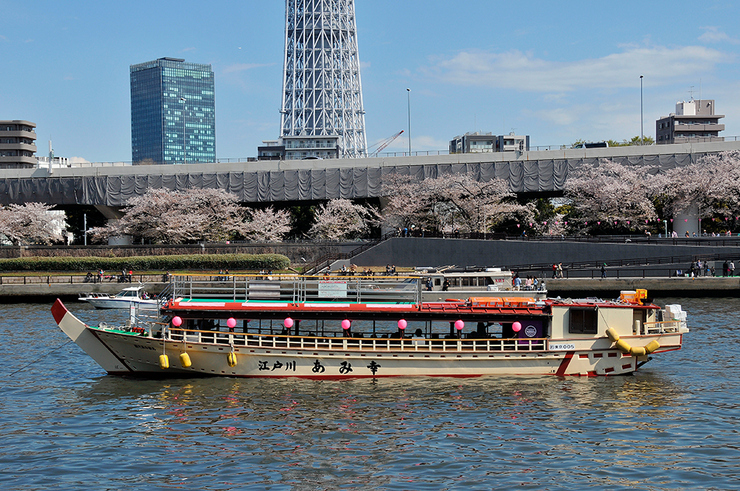 Three Choice Spots for Cherry Blossom Viewing Unique to Minato