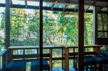 Restaurants and Cafes with Terrace Seating (Kanagawa Edition)