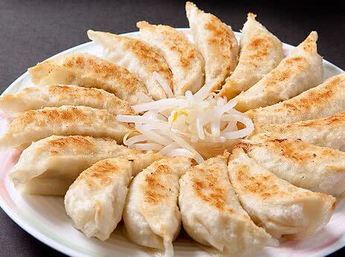 A Guide to Japanese Gyoza