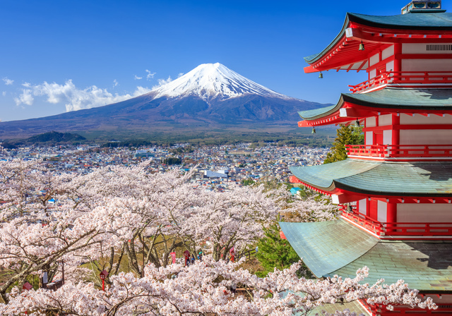 Facts and Tips for Enjoying Hanami in Japan Discover Oishii Japan ...