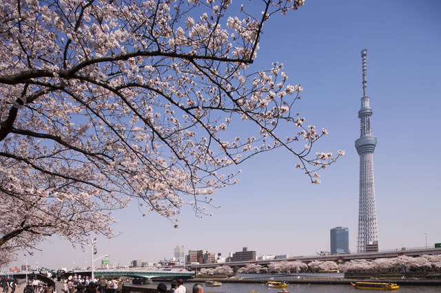 Go Tokyo - A ninja specialty shop opens in Tokyo Tower