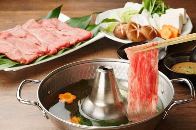 Narita Electric Multi-Cooker Shabu Shabu Hot Pot 