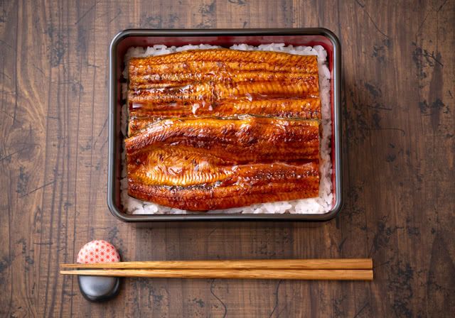 Unagi Eel