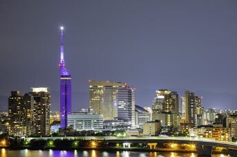 Motsunabe or Mizutaki? Which Local Delicacy Is Your Go-To When in Fukuoka?