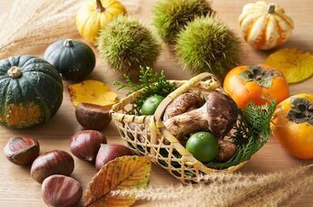 Savor the Flavors of Autumn in Japan! ‘Tis the Season for Eating!