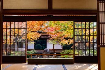 A Kyoto Local's Recommendations for Places to Enjoy the Fall Foliage and Nearby Restaurants