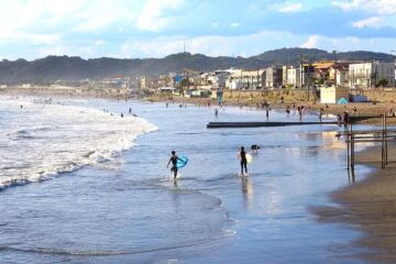 Summer Means the Sea! Beaches and Sightseeing in Kamakura Discover ...