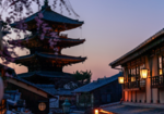 5 Recommended Kaiseki Restaurants to Visit When Touring Kyoto