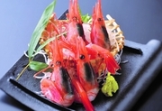 Hakodate Dining Gaya_
  Sashimi
  of Large Sweet Shrimp