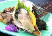 Hakodate Dining Gaya_
  Sashimi
  of Live Oyster