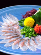 Sakana Ryouri Senmonten Totoichi_With Hamamatsu cuisine, it's eel, right! Totoichi's famous eel sashimi