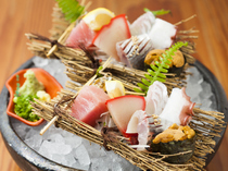 Hakata Taki Gyoza Ikeda Shoten_Sent straight from Nagahama market! A plate of sashimi with superior freshness.