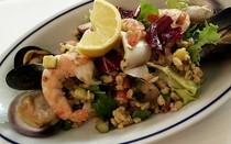 il Cardinale_Fish salad with spelt wheat