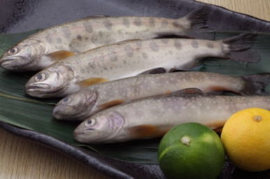 Futagoyama Shoji_Cuisine